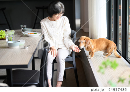 愛犬と過ごす高齢者 94957486