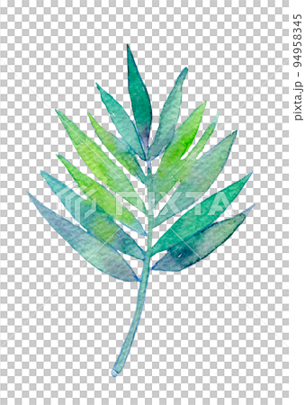 Tropical leaf watercolor illustration 94958345