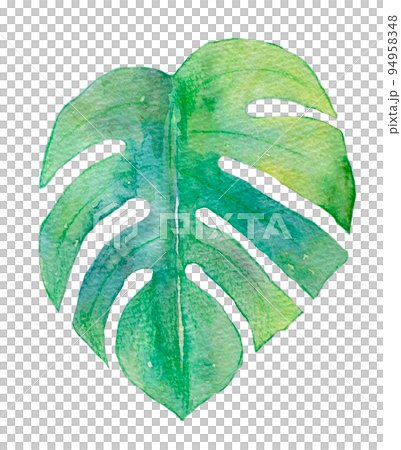 トロピカルリーフ　水彩イラスト 94958348