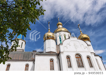 View of the Church of the Assumption of the Blessed Virgin Mary 94959055