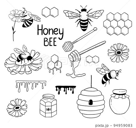 Set with honey bee, honeycomb and beehive isolated on white. Insect in hand drawn outline style. Collection of vector monochrome doodle illustration. 94959083