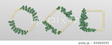 Golden frames with eucalyptus leaves isolated set Golden frames with eucalyptus leaves isolated set 94960095