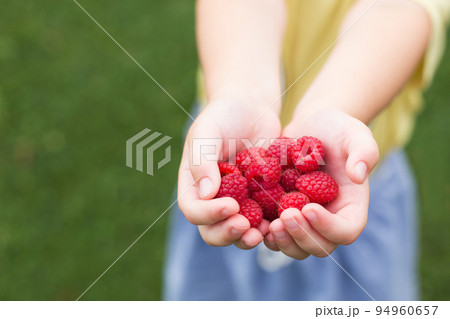 little girl child holding a handful of red berries,raspberries 94960657