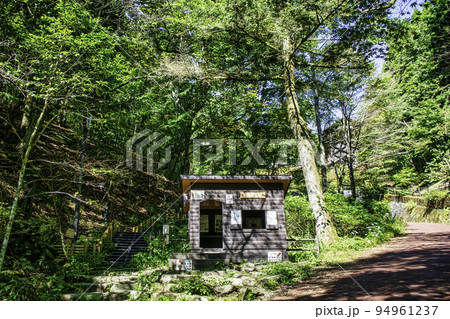 東京都　檜原都民の森　大滝の路と三頭山への登山道口 94961237