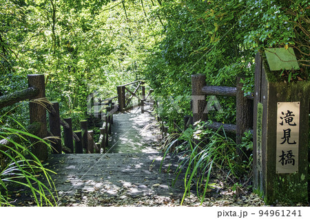 東京都　檜原都民の森　三頭大滝の滝見橋の入口  94961241