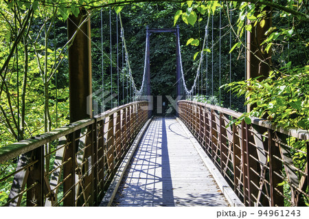 東京都 檜原都民の森 三頭大滝の滝見橋 東京都 檜原都民の森 三頭大滝の滝見橋 94961243