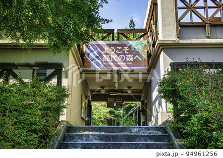 東京都 檜原都民の森 森林館 東京都 檜原都民の森 森林館 94961256