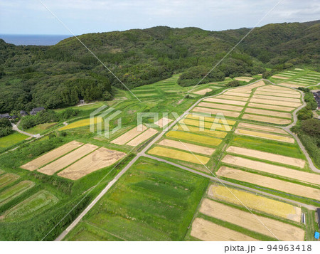 大笹波水田 94963418