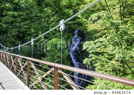 東京都 檜原都民の森 滝見橋と三頭大滝 (みとうおおたき) 東京都 檜原都民の森 滝見橋と三頭大滝 (みとうおおたき) 94963474