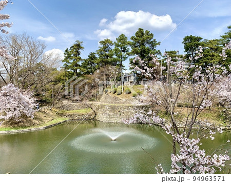 龍城堀の桜［岡崎城公園/愛知県岡崎市］ 94963571