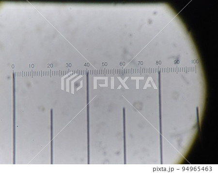 光学顕微鏡で使用する接眼ミクロメーター 光学顕微鏡で使用する接眼ミクロメーター 94965463