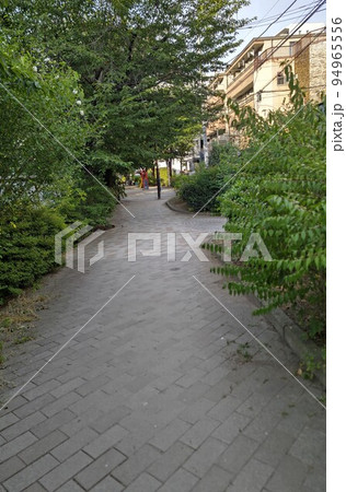 東京都新宿区立　神田上水公園   新宿30選　神田川沿い遊歩道  令和4年6月撮影 94965556