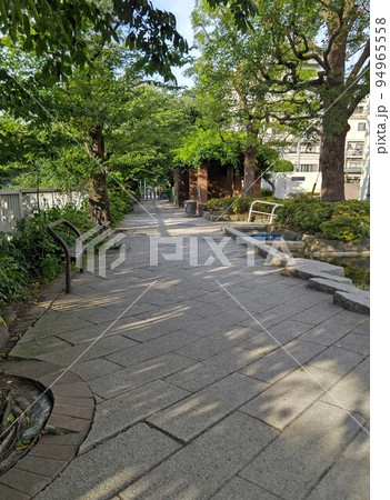東京都新宿区立 神田上水公園 新宿30選 神田川沿い遊歩道 令和4年6月撮影 東京都新宿区立 神田上水公園 新宿30選 神田川沿い遊歩道 令和4年6月撮影 94965558