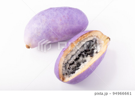 ［山形県産］アケビ 94966661