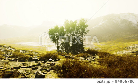 Scenic landscape with steep cliffs and trees during a sunny day Scenic landscape with steep cliffs and trees during a sunny day 94966786