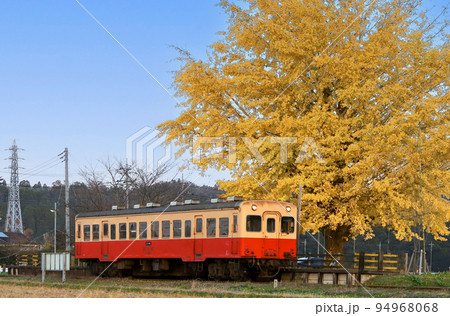 小湊鉄道と大銀杏 94968068