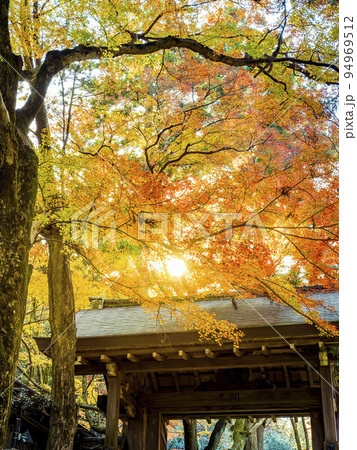 神戸・瑞宝寺公園の紅葉 / Zuihoji Park, Japan 94969512