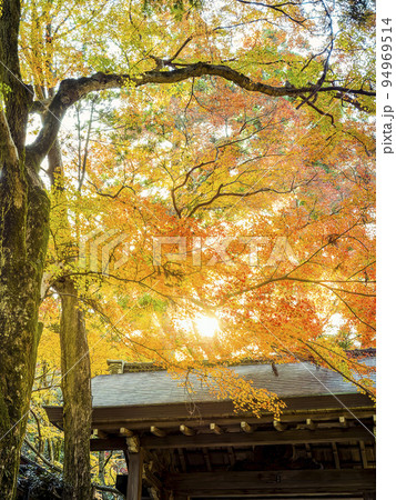 神戸・瑞宝寺公園の紅葉 / Zuihoji Park, Japan 神戸・瑞宝寺公園の紅葉 / Zuihoji Park, Japan 94969514