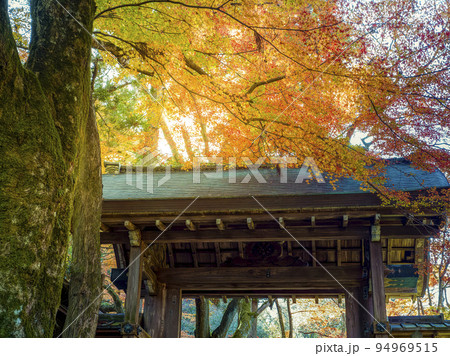 神戸・瑞宝寺公園の紅葉 / Kobe, Japan 94969515
