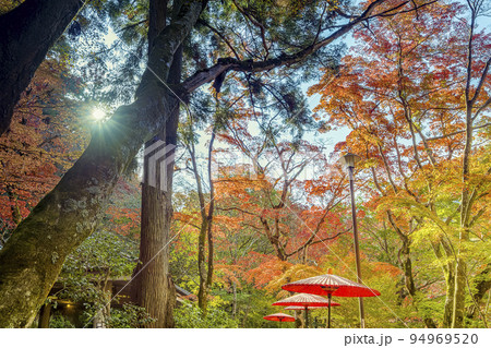 神戸・瑞宝寺公園の紅葉 / Kobe, Japan 神戸・瑞宝寺公園の紅葉 / Kobe, Japan 94969520
