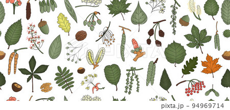 Vector seamless pattern of colored tree elements isolated on white background. Colorful background of birch, maple, oak, rowan, chestnut, hazel, linden, alder, aspen, elm, poplar, willow, walnut, ash 94969714