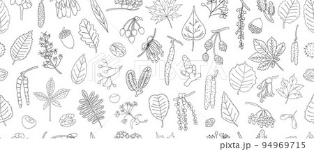 Vector seamless pattern of black and white tree elements isolated on white background. Linear art background of birch, maple, oak, rowan, chestnut, hazel, linden, alder, aspen, elm, poplar, willow, 94969715