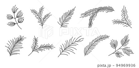 Fir branch variety shape evergreen plant black line set. Spruce fir pine larch cedar winter forest green needlewood holiday xmas tree design element greeting card banner editable stroke isolated 94969936