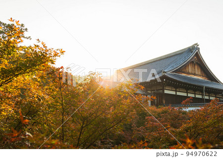 京都東山の秋　紅葉の東福寺（早朝特別拝観）　方丈 94970622