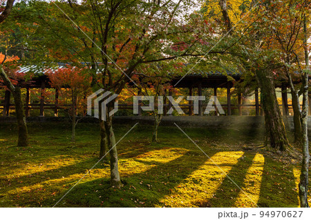京都東山の秋 紅葉の東福寺(早朝特別拝観) 通天橋 京都東山の秋 紅葉の東福寺(早朝特別拝観) 通天橋 94970627