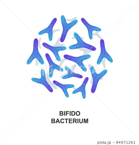 Bifidobacterium. Probiotic bacteria. Good bacteria and microorganism for human health. Vector illustration Bifidobacterium. Probiotic bacteria. Good bacteria and microorganism for human health. Vector illustration 94971261