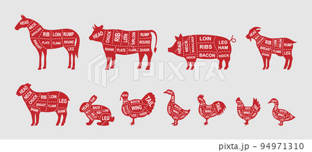 Set of farm animals diagram cuts. Butcher scheme poster. Pig, Horse, Turkey, Goat, Sheep, Chicken, Rooster, Duck, Rabbit, Goose, Cow cuts of meats. 94971310