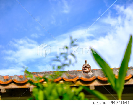 竹富島の町並み 94971641