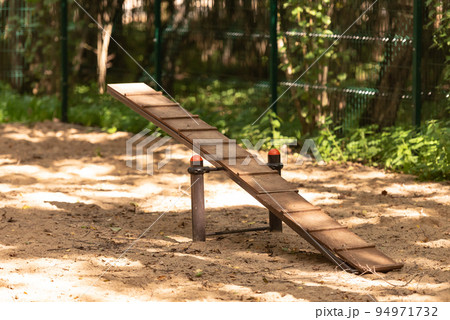 Dog playground in the forest 94971732