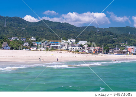 《静岡県》伊豆白浜海岸・エメラルドグリーンの美しいビーチ 《静岡県》伊豆白浜海岸・エメラルドグリーンの美しいビーチ 94973005