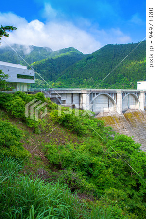 秩父さくら湖　浦山ダム　新緑の風景 94973080