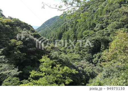 山口萩往還にある一の坂ダムと錦鶏湖の風景 94973130