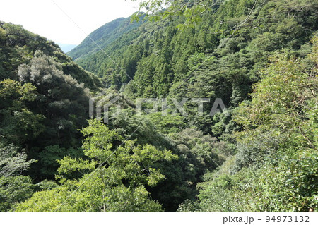 山口萩往還にある一の坂ダムと錦鶏湖の風景 山口萩往還にある一の坂ダムと錦鶏湖の風景 94973132