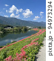 津屋川の彼岸花群生 94973294