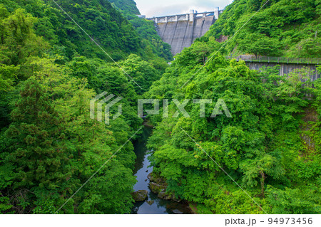 秩父さくら湖 浦山ダム 新緑の風景 秩父さくら湖 浦山ダム 新緑の風景 94973456