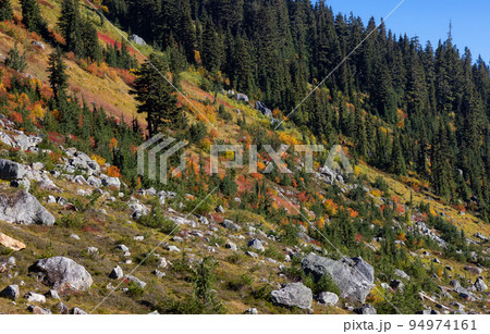 Trees and Rocks in Canadian Mountain Landscape. Sunny Fall Season. Trees and Rocks in Canadian Mountain Landscape. Sunny Fall Season. 94974161
