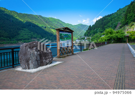 奥秩父もみじ湖　滝沢ダム　初夏　新緑の風景 94975066