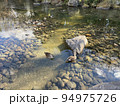 川遊び 94975726