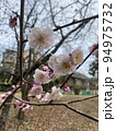 梅 94975732