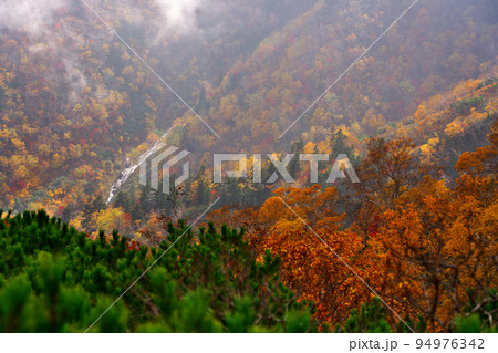 あまりょうの滝展望台からの雄大な秋の風景 あまりょうの滝展望台からの雄大な秋の風景 94976342