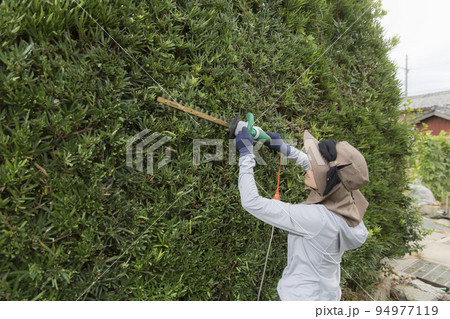 電動バリカンで剪定する主婦 94977119