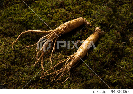 oriental, medicinal root plant, fresh ginseng 94980868