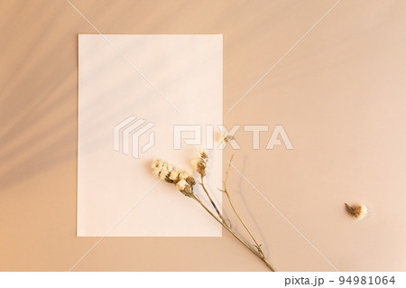 autumn aesthetics mood background with paper frame, shadow, shadow 94981064