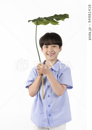 Korean young boy wearing summer blue half sleeve shirt in white background studio_holding tropical leaves 94981416