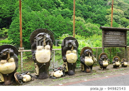 トロッコ保津峡駅　たぬき 94982543
