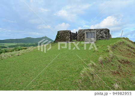 ダテイクチデイ 94982955